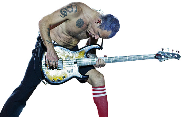 1121vinicons.flea